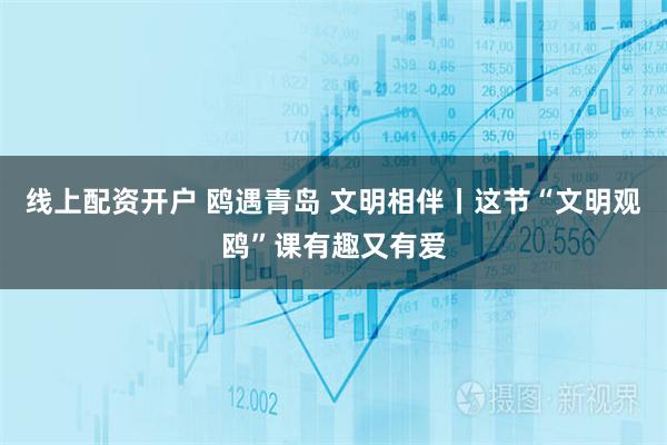 线上配资开户 鸥遇青岛 文明相伴丨这节“文明观鸥”课有趣又有爱